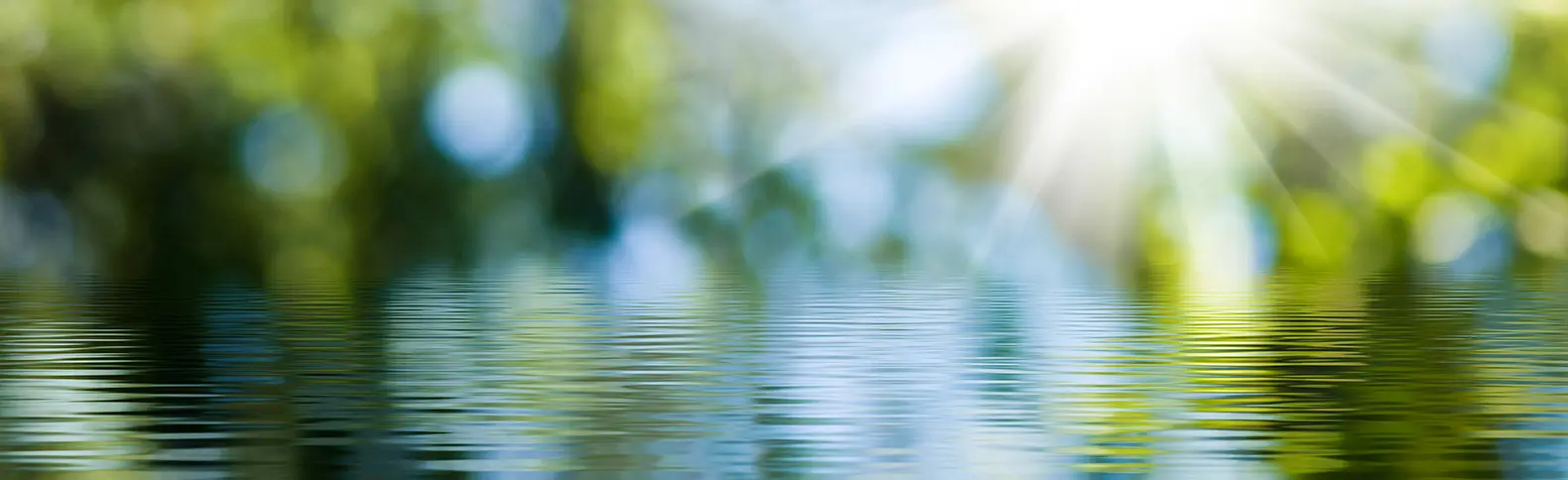 AdobeStock_282596489-Copiar