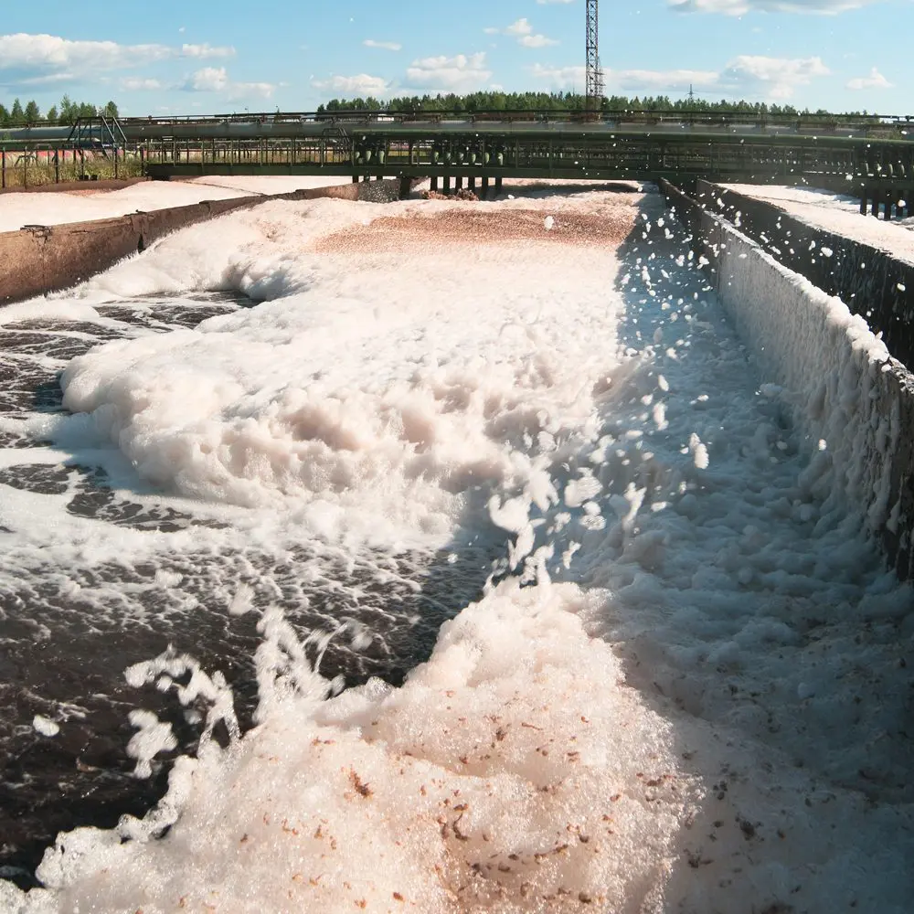 espuma